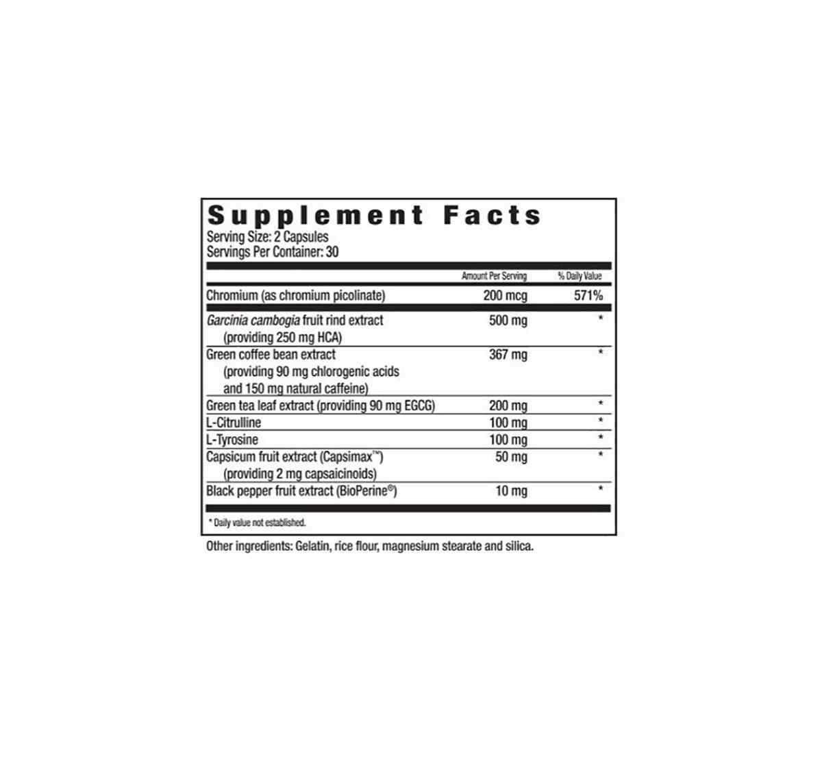 Performance Diet & Energy