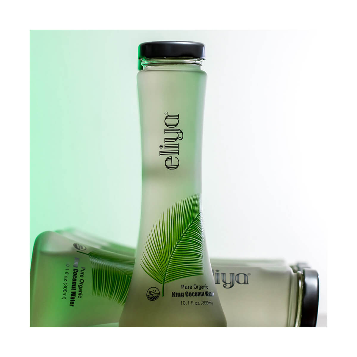 12 10.1 OZ Glass Bottles per Case