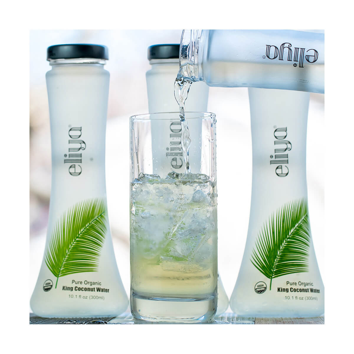 12 10.1 OZ Glass Bottles per Case